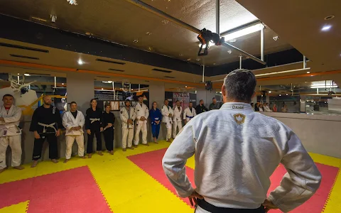 Mizfits Jiu Jitsu Academy Split image