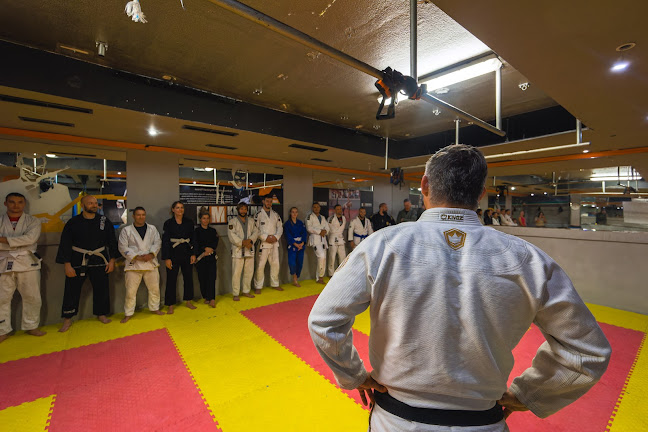 https://mizfitsbjjsplit.com/