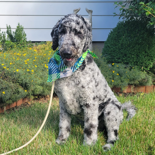 Pet Supply Store «PetSmart», reviews and photos, 2135 NJ-38 Ste B, Cherry Hill, NJ 08002, USA