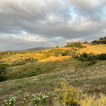 Photo n°6 de l'avis de Annigje.i fait le 25/07/2023 à 13:25 sur le  Ristorante La Dispensa à Pomarance