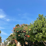 Photo n°2 de l'avis de Ellen.e fait le 09/08/2022 à 15:55 sur le  Il Giardino Ristorante Pizzeria à Rodi Garganico