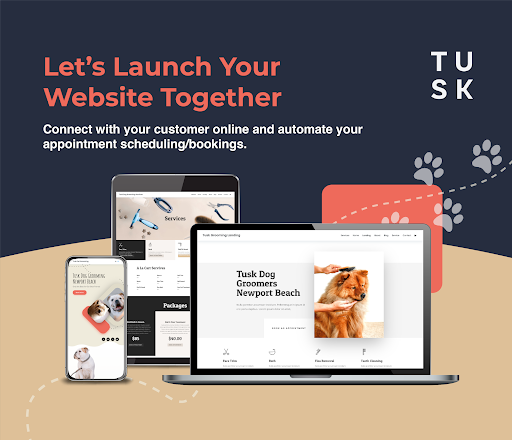 Tusk Creative Studios image