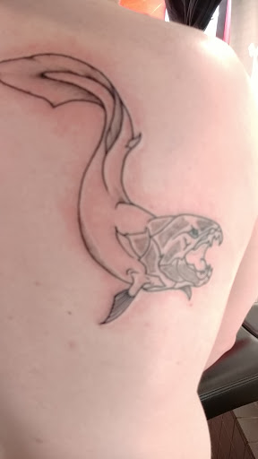 Tattoo Shop «Dream Masters Custom Tattoos Sweden», reviews and photos, 228 Columbus Ave, San Francisco, CA 94133, USA