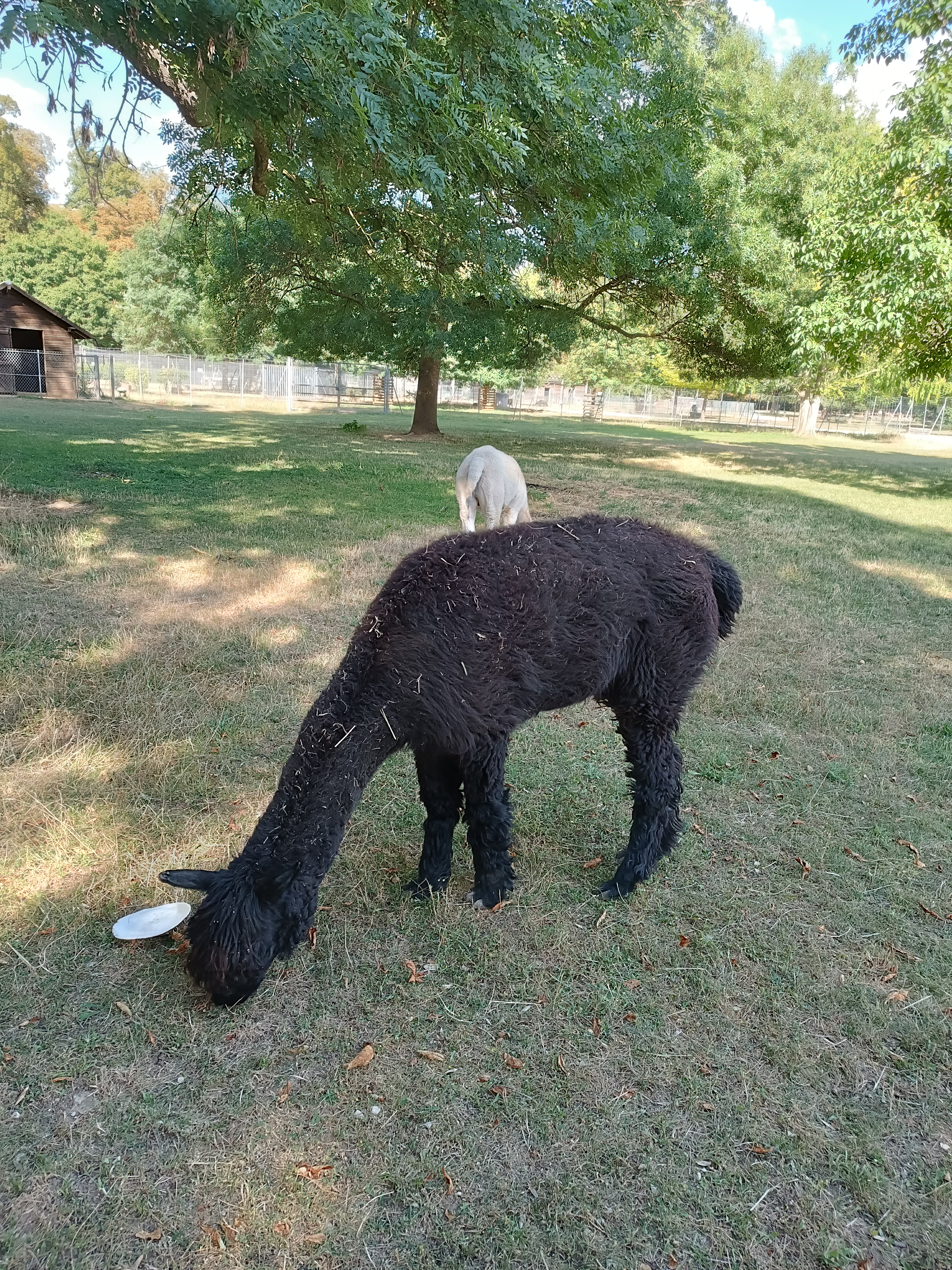 Photo n° 4 de l'avis de Ingrid.e fait le 28/07/2022 à 20:24