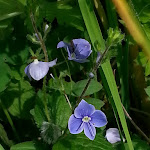 Photo n°4 de l'avis de Stefania.o fait le 08/08/2016 à 20:52 sur le  Rifugio Refavaie à Pieve Tesino