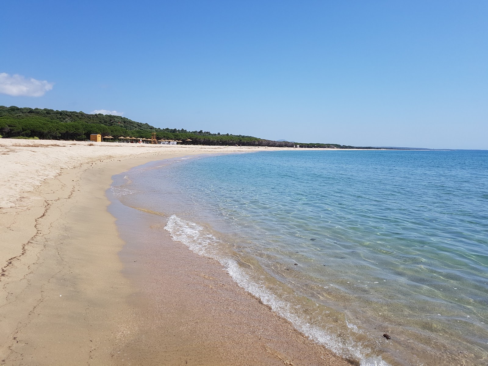 Foto de Spiaggia Su Barone con agua cristalina superficie