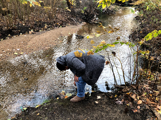 Nature Preserve «Brookside Preserve», reviews and photos, N Brookside Ave, Roosevelt, NY 11575, USA
