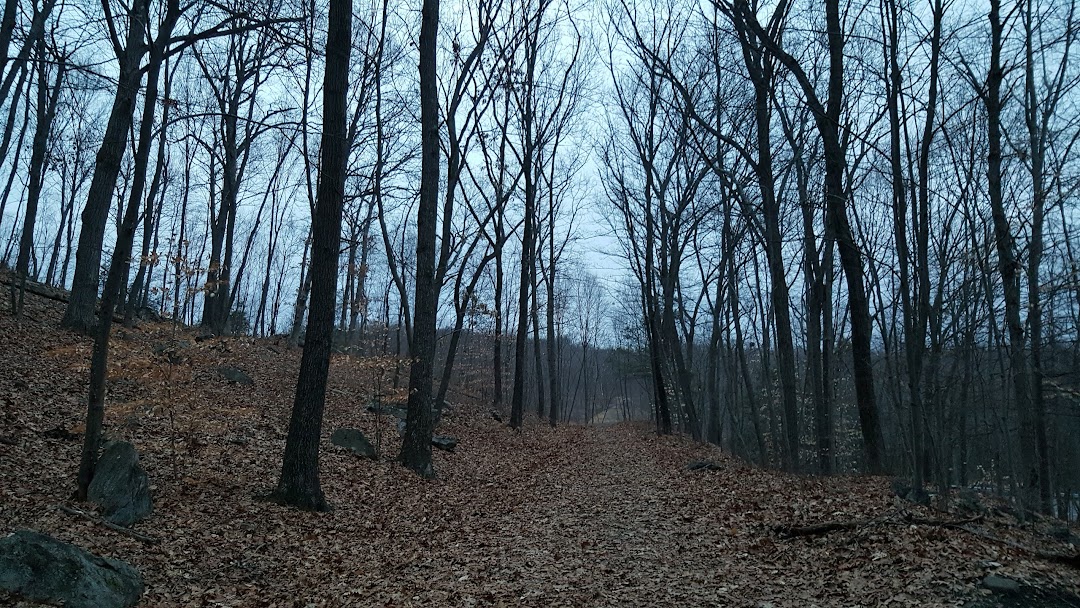 Whittemore Glen State Park Scenic Reserve