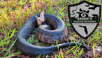 Green's Wildlife Solutions - Photo 3 - Car repair in , Tampa
