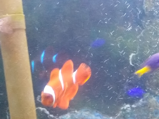 Pet Store «Liberty Agway Pet Center», reviews and photos, 11 Bon Jovi Ln, Liberty, NY 12754, USA