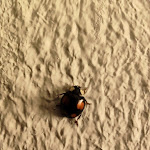 Photo n°4 de l'avis de Armin.e fait le 17/03/2023 à 15:03 sur le  Hotel Waldschloss à Bad Camberg