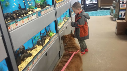 Shopping Mall «Green Mountain Shopping Plaza Shopping Center», reviews and photos, 241 S Main St, Rutland, VT 05701, USA