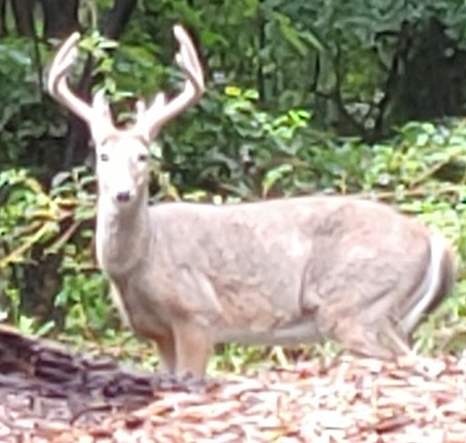 Park «Edison State Park», reviews and photos, 37 Christie St, Edison, NJ 08820, USA