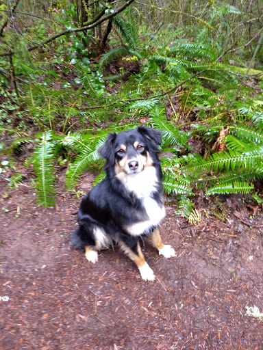 Forestry Service «Hopkins Demonstration Forest», reviews and photos, 16750 S Brockway Rd, Oregon City, OR 97045, USA