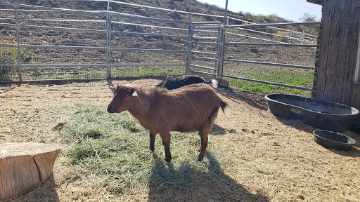 Horseback Riding Service «Spur Cross Stables», reviews and photos, 44029 N Spur Cross Rd, Cave Creek, AZ 85331, USA