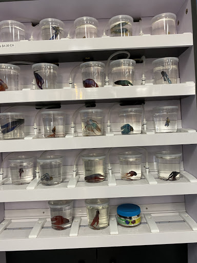 Pet Store «Pet Station Reno», reviews and photos, 5065 S McCarran Blvd, Reno, NV 89502, USA