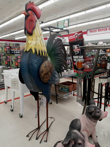 Home Improvement Store «Tractor Supply Co.», reviews and photos, 1803 James L Redman Pkwy, Plant City, FL 33563, USA