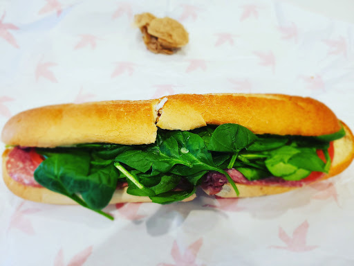 Mazda Dealer «Ferman Mazda of Brandon», reviews and photos, 9809 E Adamo Dr, Tampa, FL 33619, USA