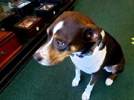 Tobacco Shop «Tinder Box», reviews and photos, 7921 S Hosmer St B, Tacoma, WA 98408, USA