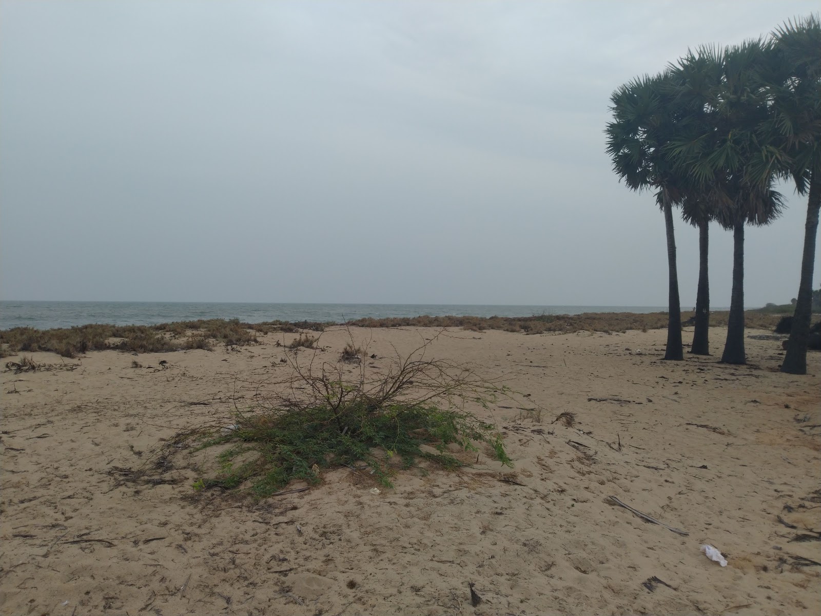 Valokuva Kannirajpuram Beachista. pinnalla turkoosi puhdas vesi:n kanssa
