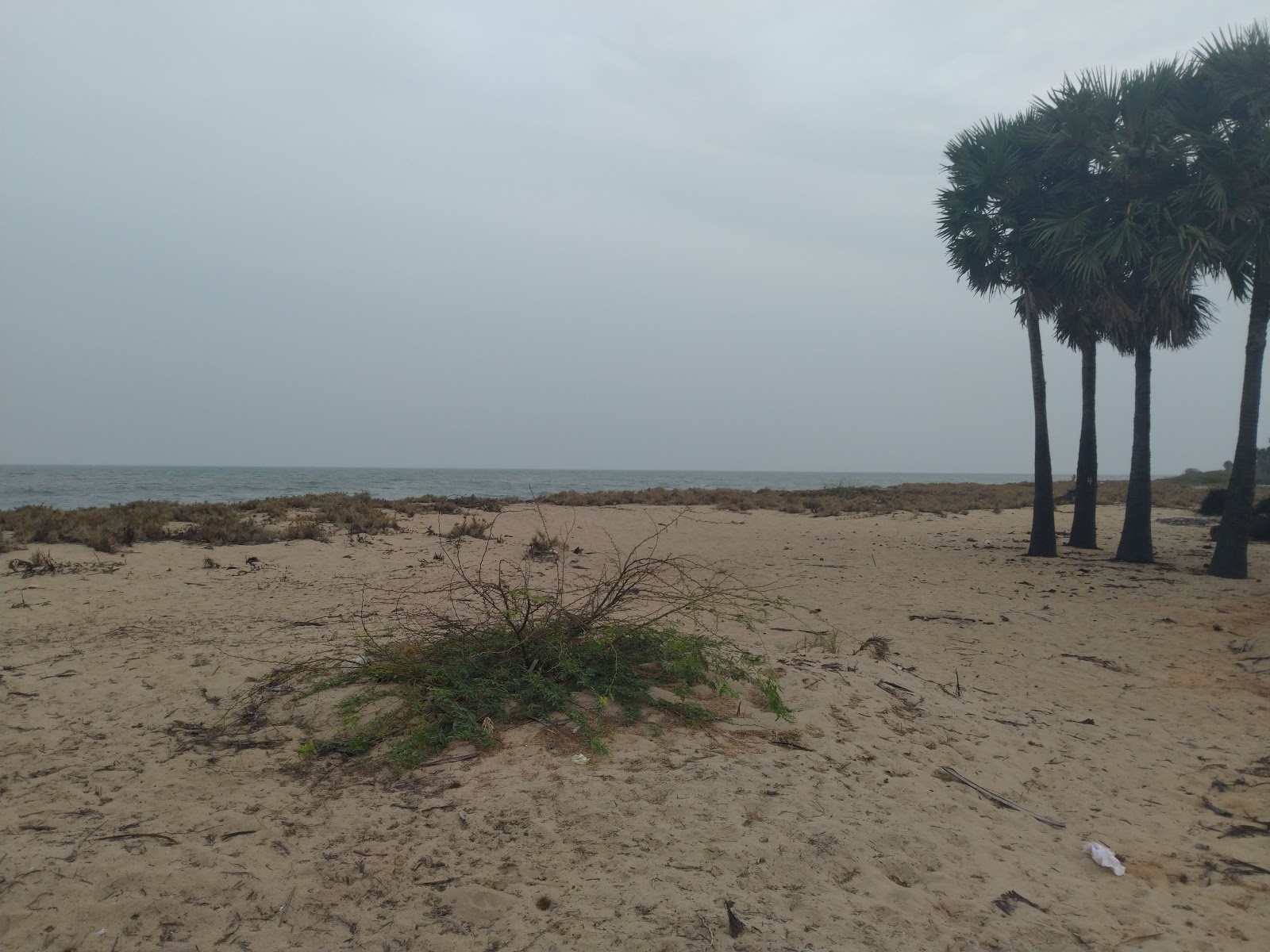 Kannirajpuram Beach'in fotoğrafı düz ve uzun ile birlikte