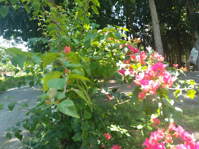 Taman Terigona Bunga Telang