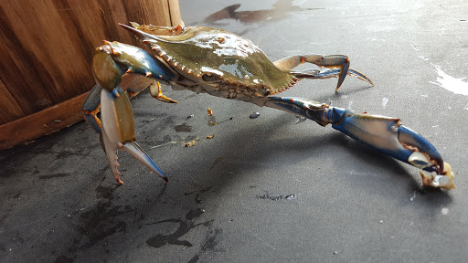 Grocery Store «Giant Food Stores», reviews and photos, 330 Marketplace Boulevard, Selinsgrove, PA 17870, USA