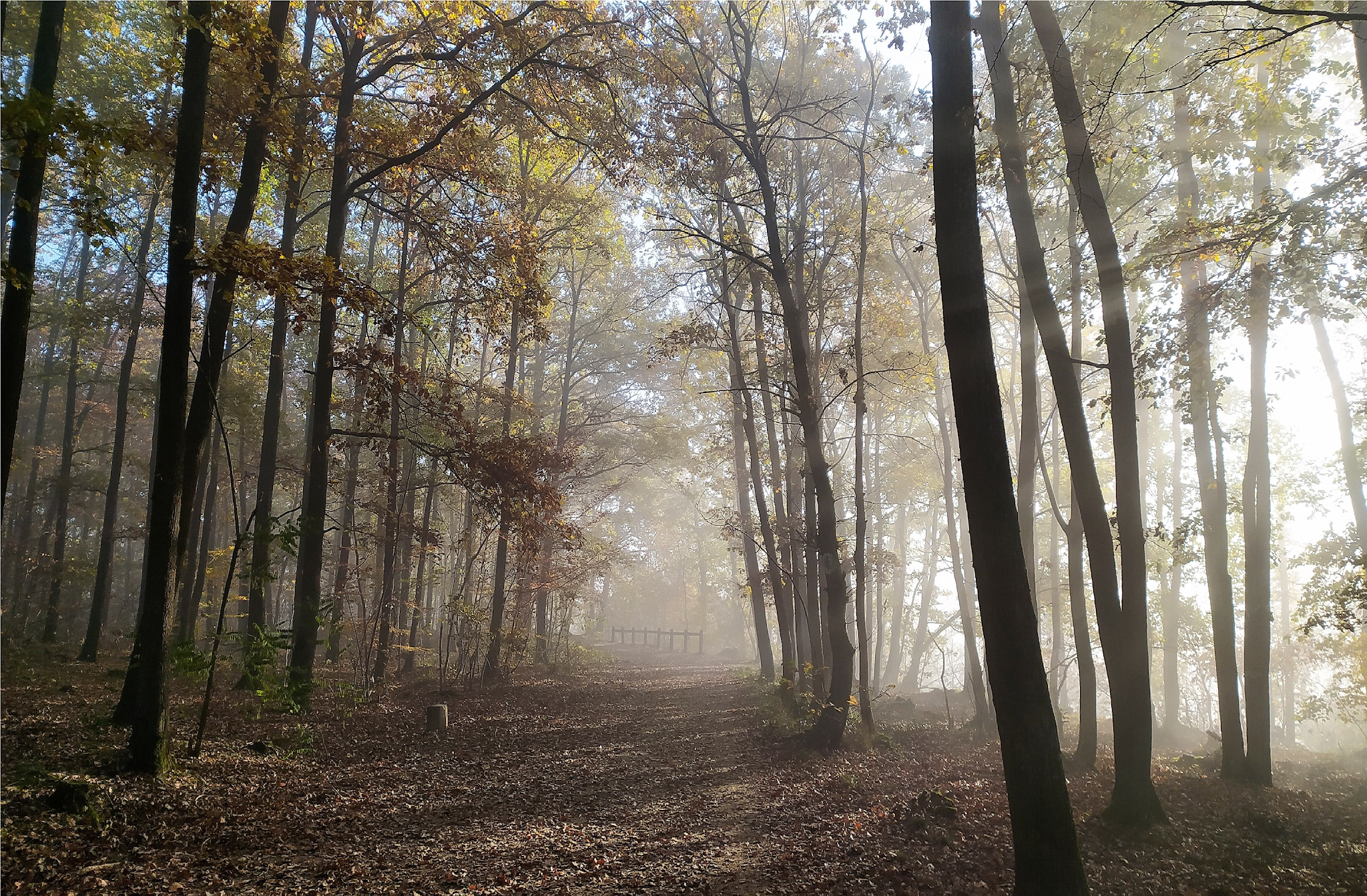 Photo n° 18 de l'avis de François. fait le 21/11/2021 à 12:37