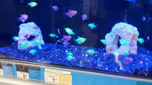 Pet Supply Store «Petco Animal Supplies», reviews and photos, 30697 US Hwy 19 N, Palm Harbor, FL 34684, USA