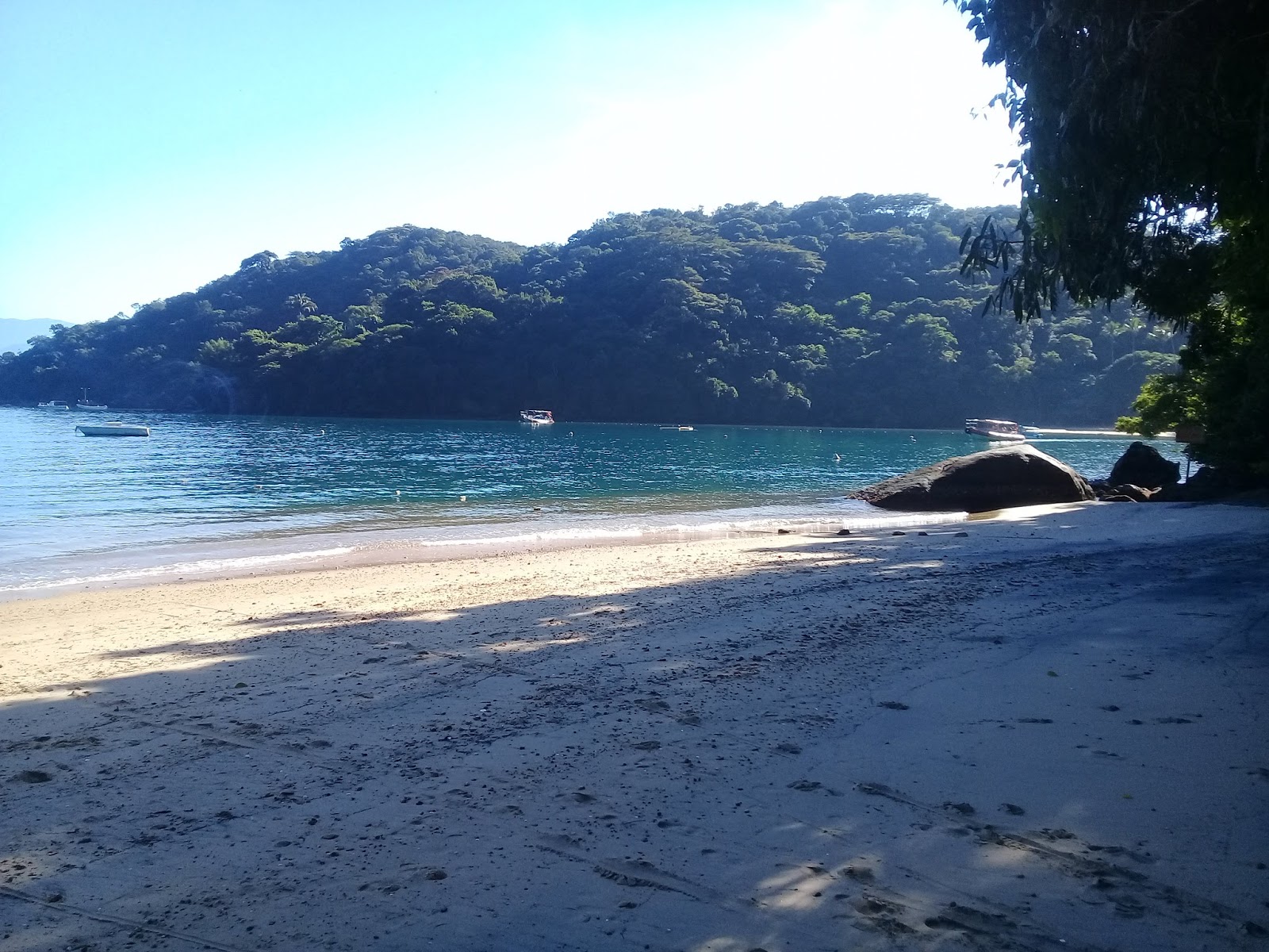 Photo de Comprida Beach zone sauvage