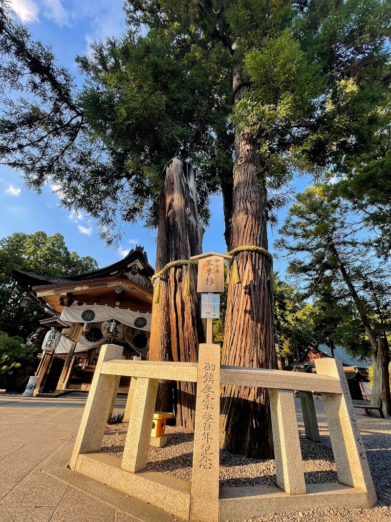 建部大社 御神木三本杉