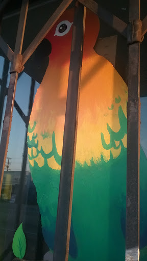 Pet Supply Store «E & M Pet Shop», reviews and photos, 5900 Whittier Blvd, Los Angeles, CA 90022, USA