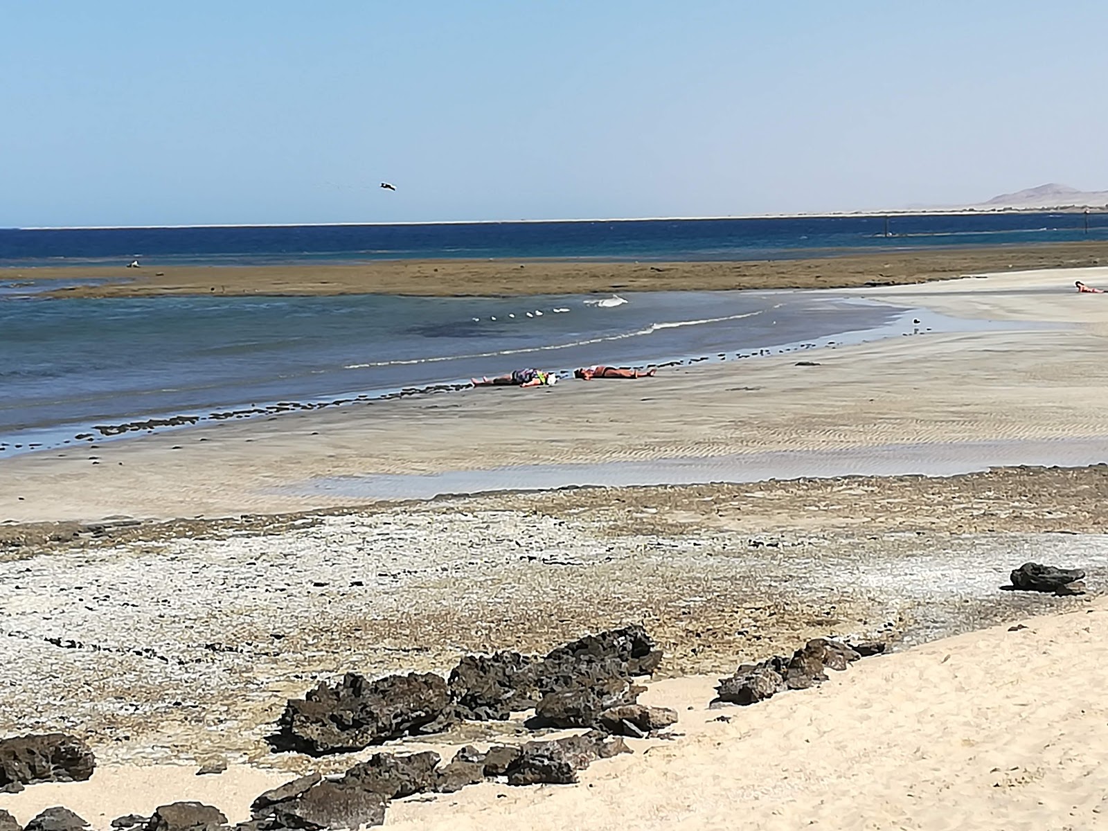 Fotografija Shams Beach priljubljeno mesto med poznavalci sprostitve