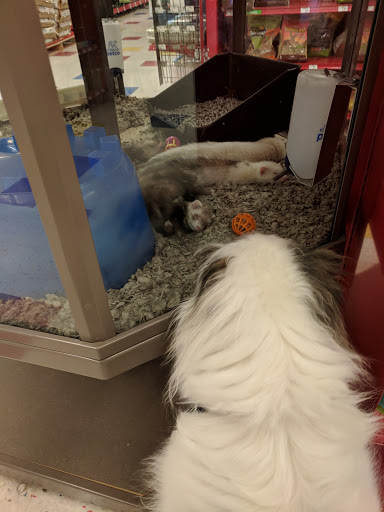 Pet Supply Store «Petco Animal Supplies», reviews and photos, 85 State St, Orem, UT 84058, USA