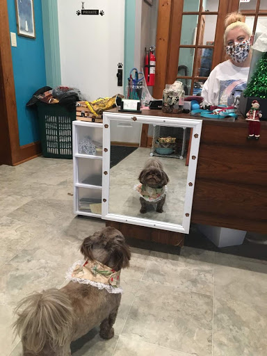 Kaci's Bark at the Moon Dog Grooming