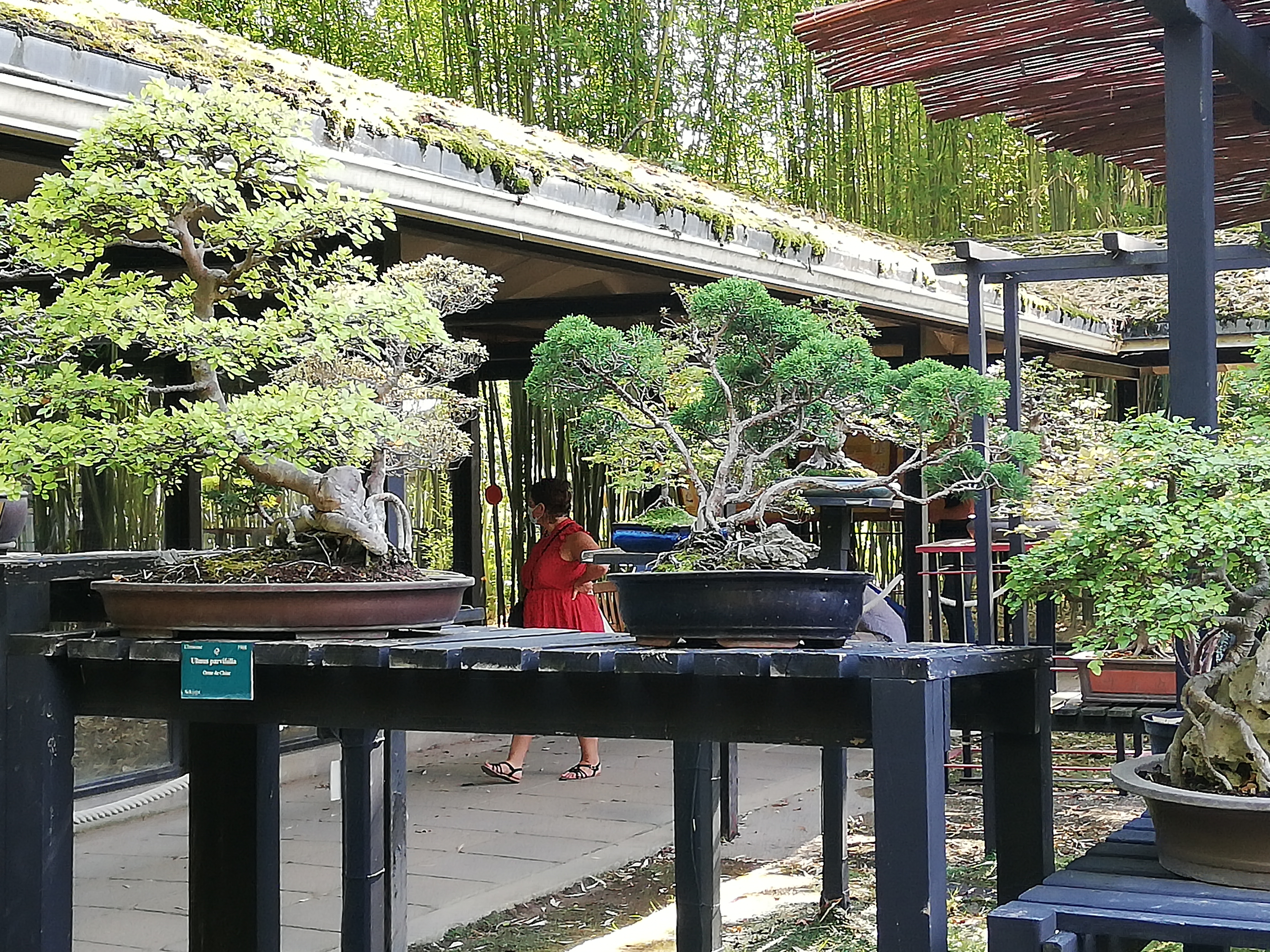 Photo n° 19 de l'avis de Samia.e fait le 16/08/2020 à 16:39