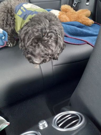 Grocery Store «Safeway», reviews and photos, 2001 McHenry Ave Suite C, Modesto, CA 95350, USA