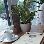 Photo n°1 de l'avis de Becha.a fait le 20/08/2019 à 08:53 sur le  5 Senses Coffee à Freiburg im Breisgau