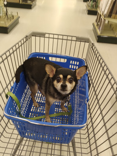 Craft Store «Hobby Lobby», reviews and photos, 2135 E Franklin Blvd, Gastonia, NC 28054, USA