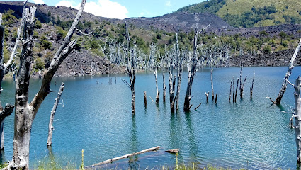 Reserva Nacional Malalcahuello