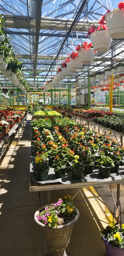 Florist «Dutch & Olgas Greenhouse», reviews and photos, 1285 NJ-36, Hazlet, NJ 07730, USA