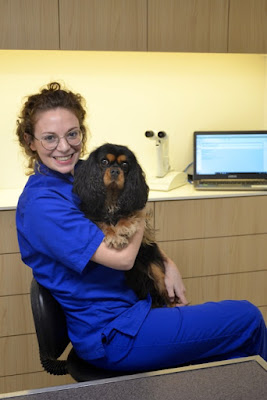 Clinique Veterinaire Du Temple - Dr Julien JACQUET et Dr Céline MOLAS à Paris