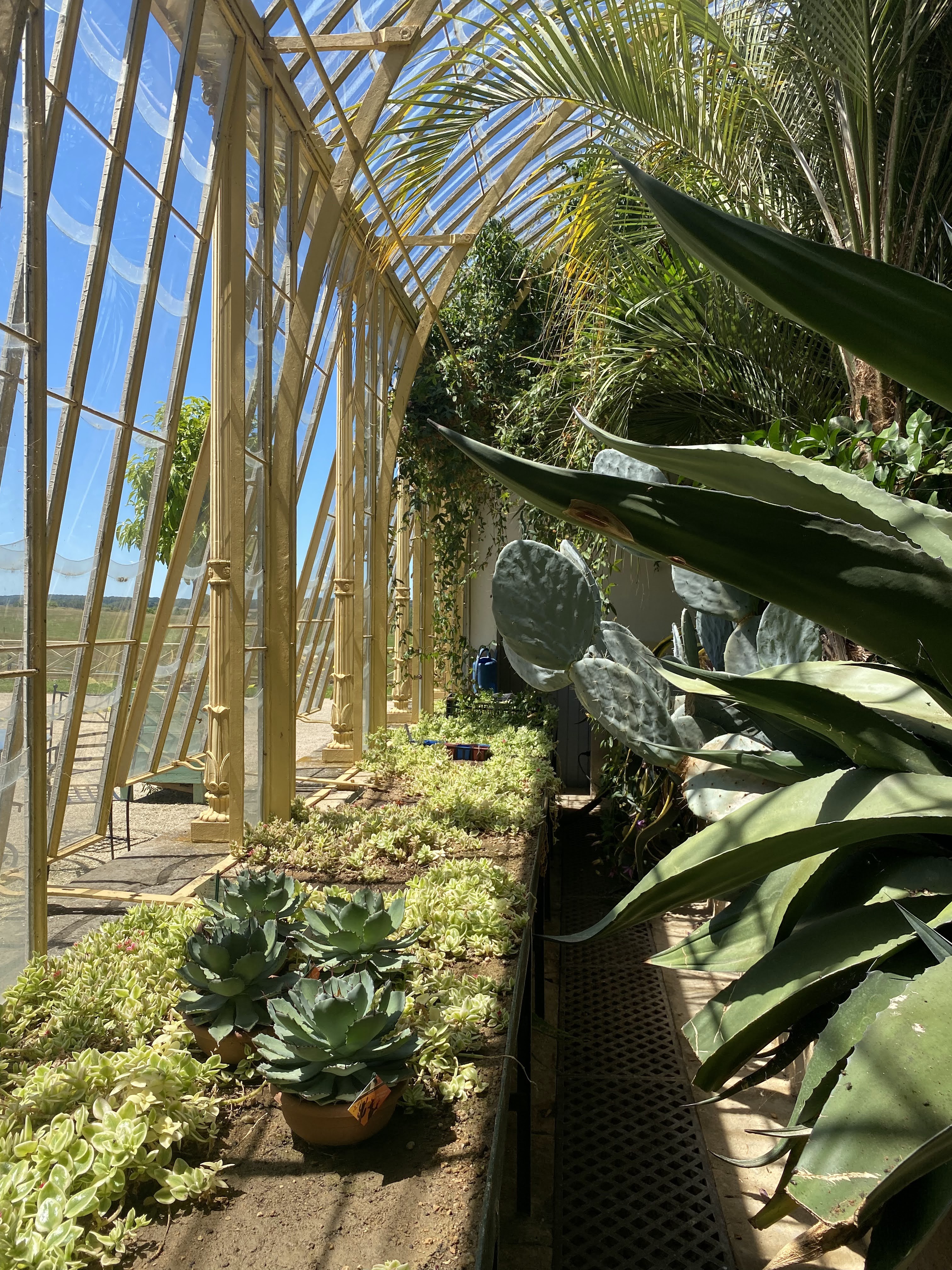 Photo n° 2 de l'avis de MARIE.O fait le 12/07/2022 à 12:25