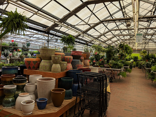 Garden Center «Sixteen Acres Garden Center», reviews and photos, 1359 Wilbraham Rd, Springfield, MA 01119, USA