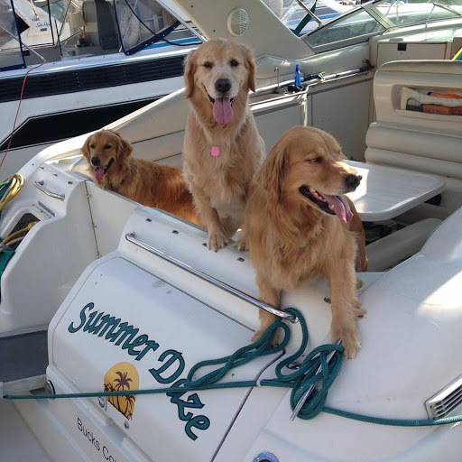 Marine Supply Store «West Marine», reviews and photos, 1930 Eastwood Rd #102, Wilmington, NC 28403, USA