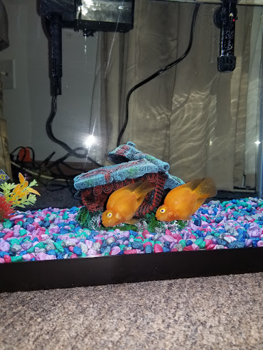 Pet Supply Store «Pet Supplies Plus», reviews and photos, 2472 Veterans Dr, Galesburg, IL 61401, USA