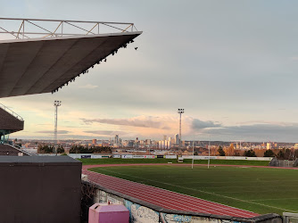 John Charles Centre For Sport, 5-a-side Pitches