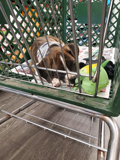 Pet Supply Store «Pet Supplies Plus», reviews and photos, 5557 Durand Ave, Racine, WI 53406, USA