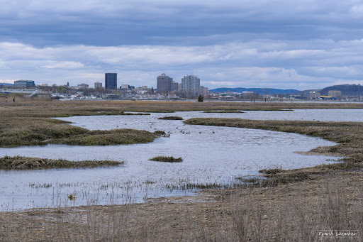 Nature Preserve «Sandy Point Bird Sanctuary», reviews and photos, Beach St, West Haven, CT 06516, USA