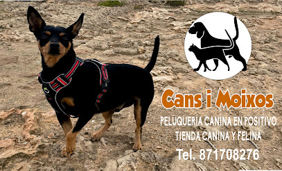 Cans i moixos - Servicios para mascota en Palma